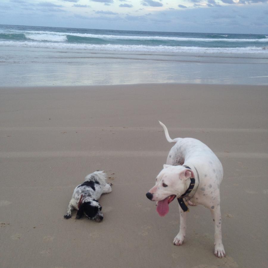 Clarence Head Caravan Park Iluka Esterno foto